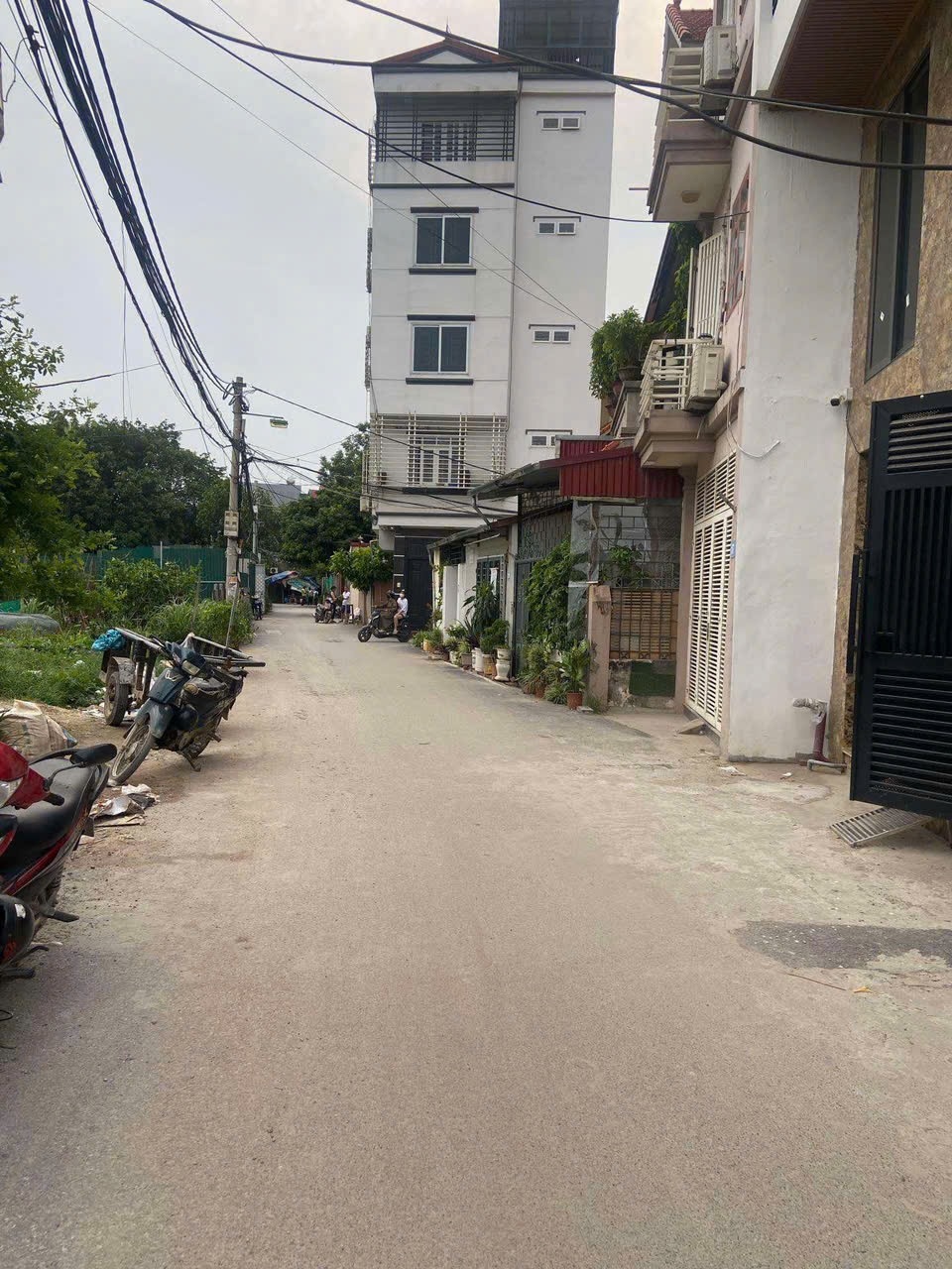 anh