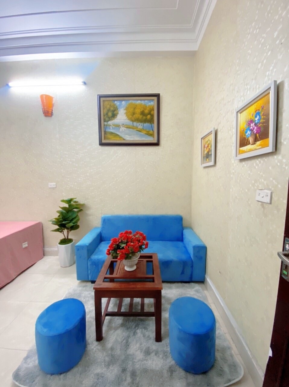 Phòng trọ Studio 25m2 tại TL Housing Trần Duy Hưng - Cầu Giấy - Phòng khách