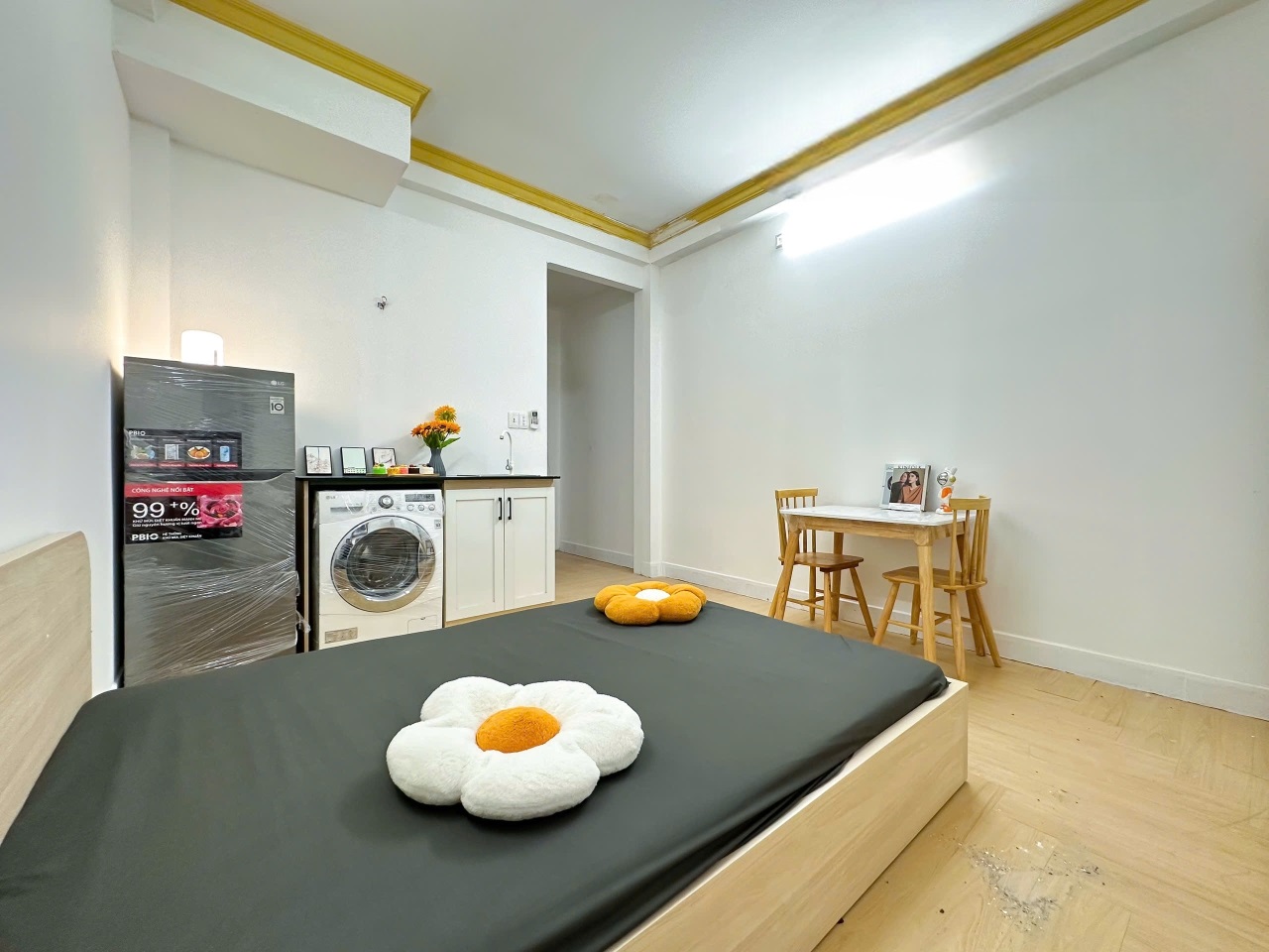 Phòng trọ UD House Đường C1 - Tân Bình - Phòng (*)