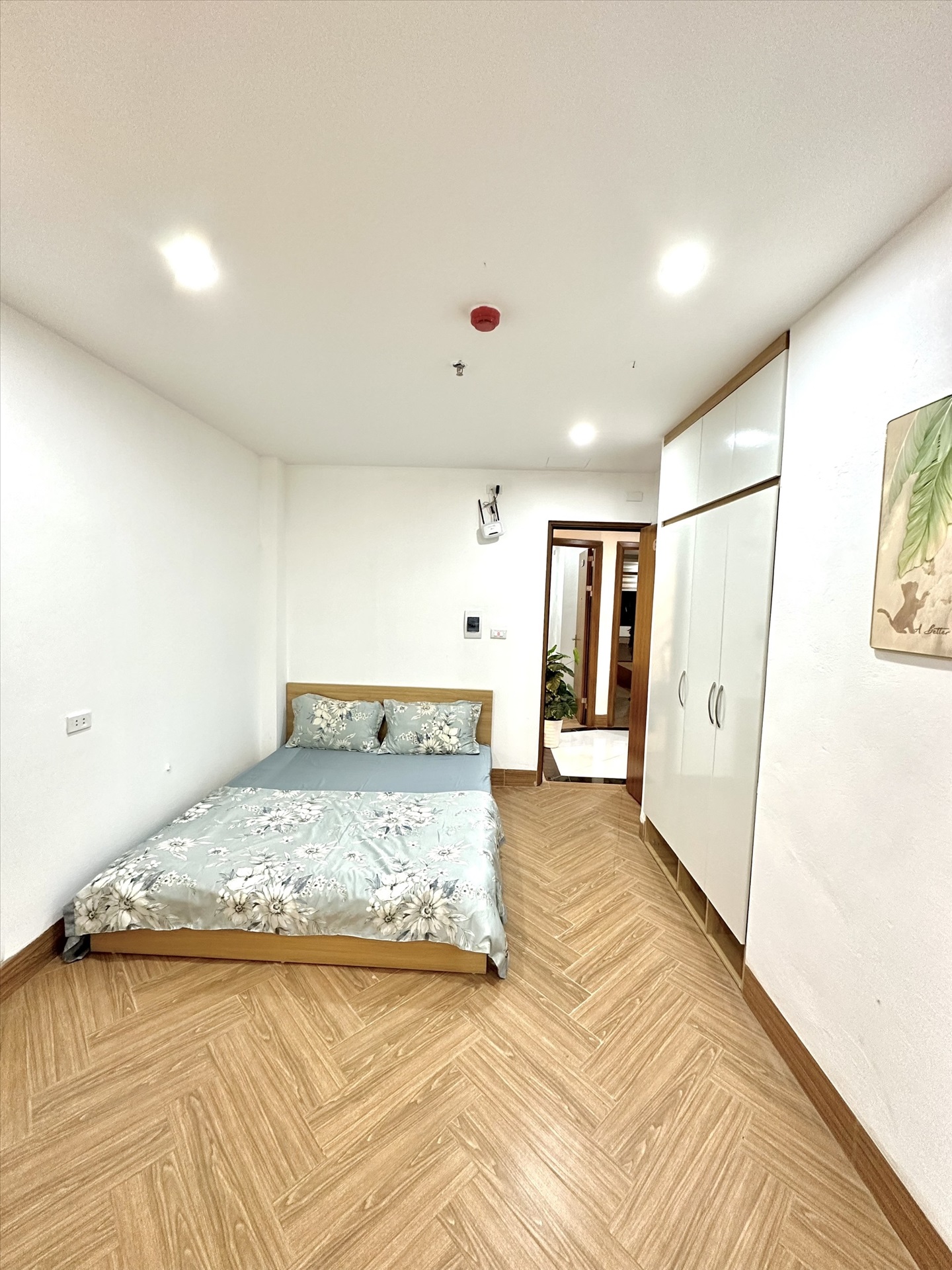 Phòng trọ 1 Phòng ngủ 50m2 tại TT House Xuân Thủy - Cầu Giấy - Phòng ngủ