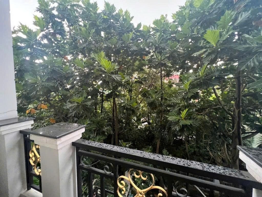 Phòng trọ Studio 27m2 tại AD Home Nguyễn Xí - Bình Thạnh - Ban công