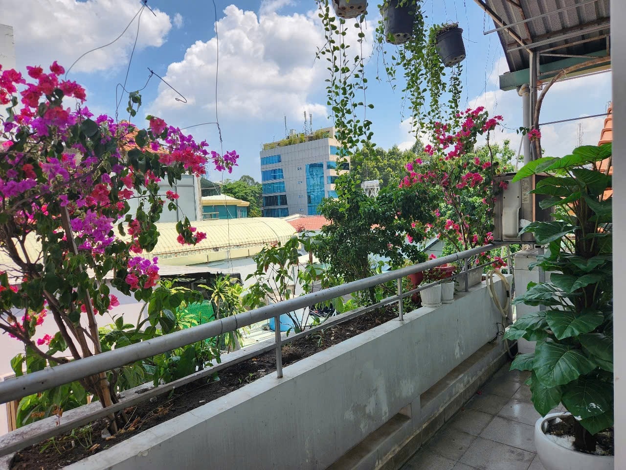 Phòng trọ 1 Phòng ngủ 35m2 tại Rich Home Trần Quốc Hoàn - Tân Bình - Ban công