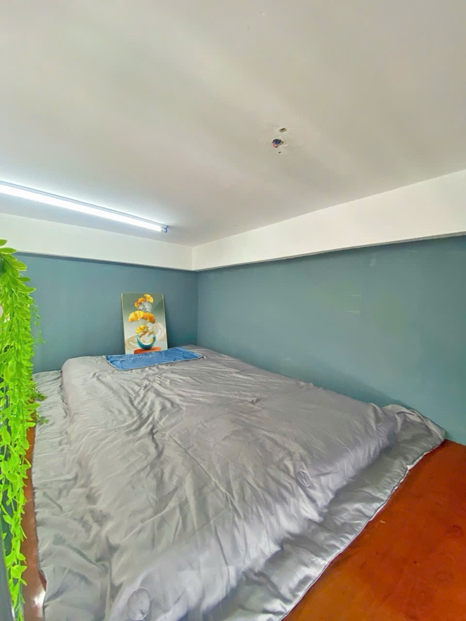 Phòng trọ CM Home Hoàng Hoa Thám - Tân Bình - Phòng (*)