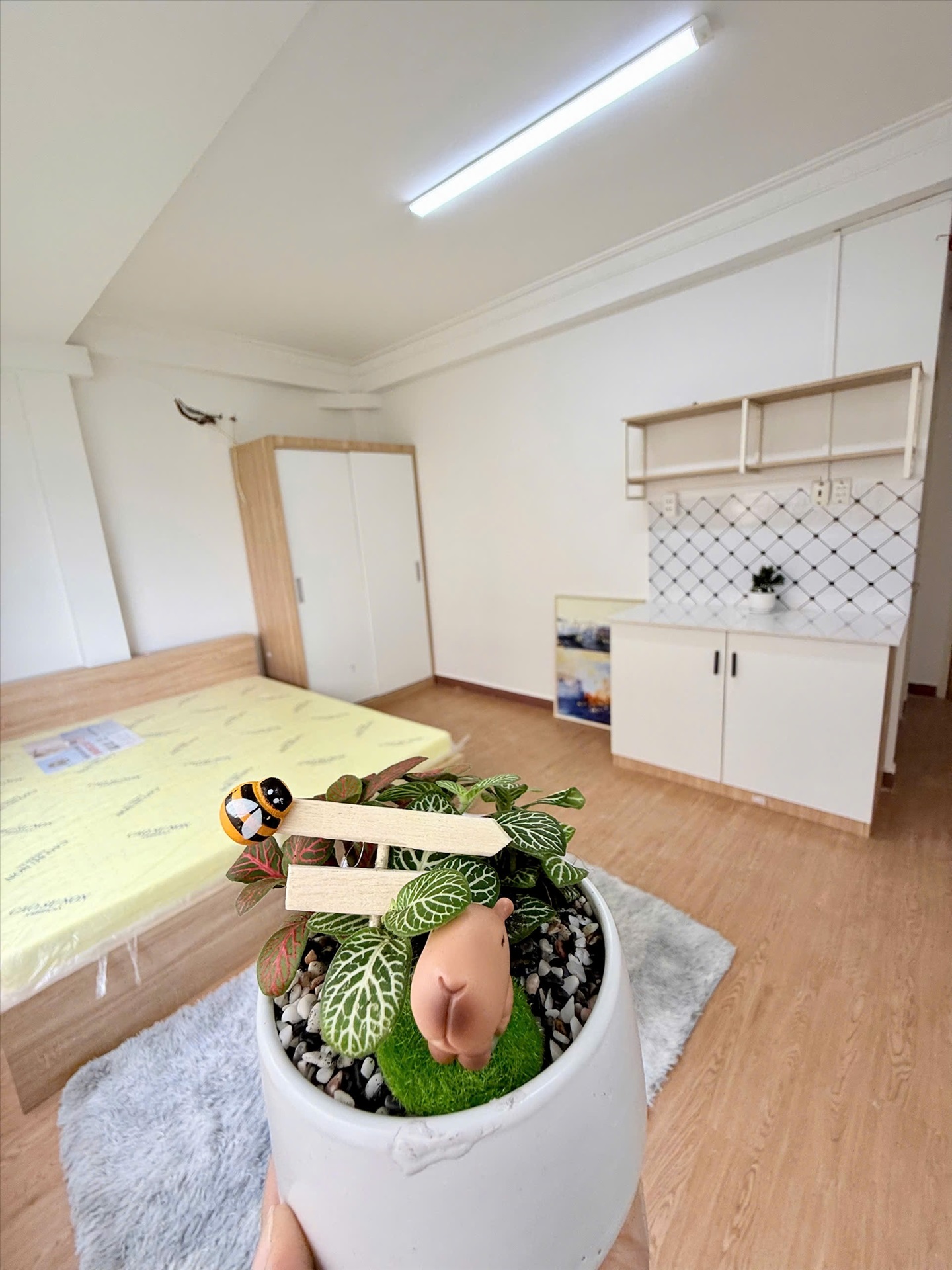 Phòng trọ CN House Nguyễn Hữu cảnh - Bình Thạnh - Phòng (*)