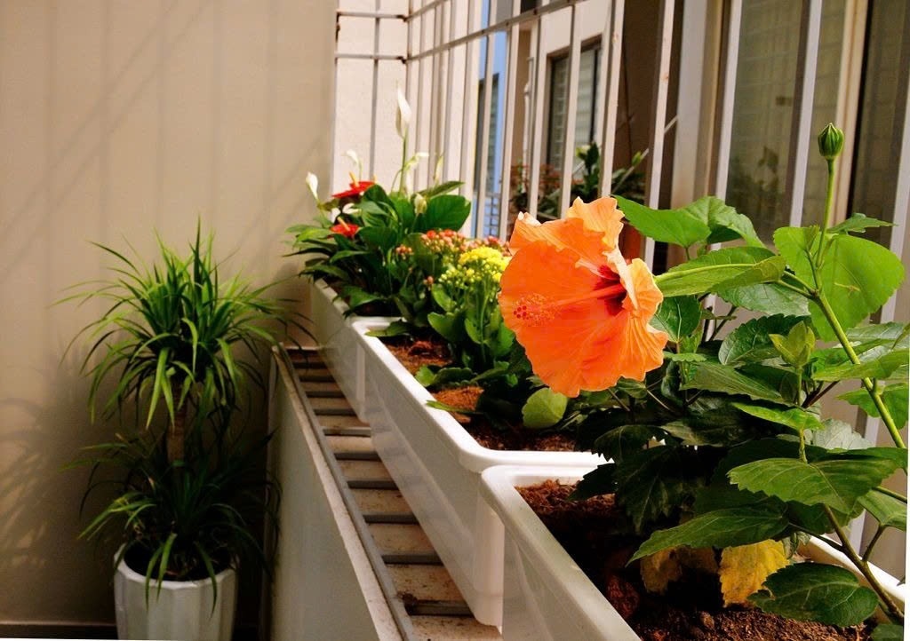 Phòng trọ Studio 32m2 tại PC House Nguyễn Văn Huyên - Cầu Giấy  - Phòng khách