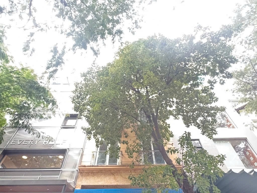 Phòng trọ PTC House 1 Hưng Gia 2 - Quận 7