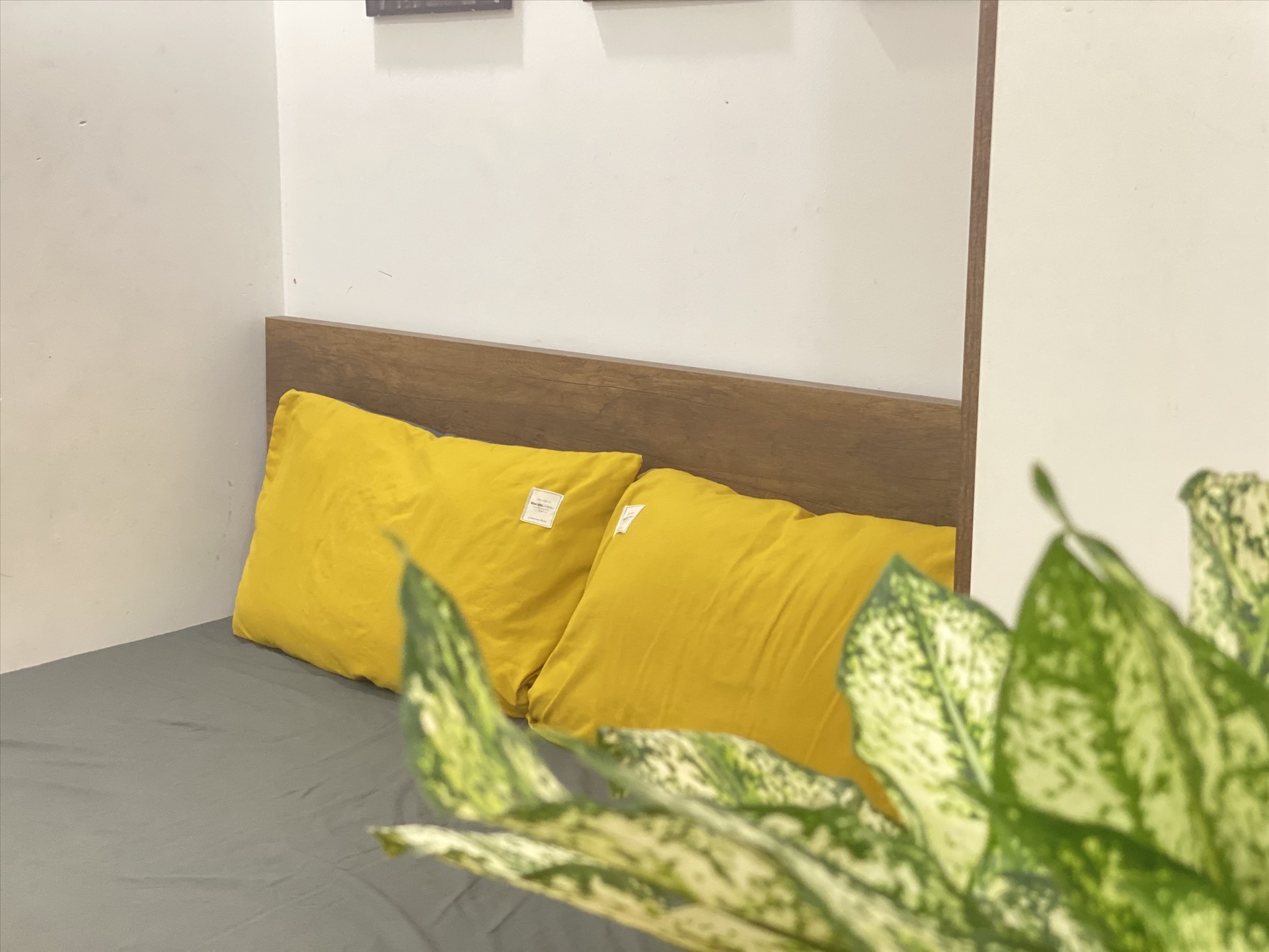 Phòng trọ Studio 18m2 tại Suha Home 1 Khương Đình - Thanh Xuân - Phòng ngủ
